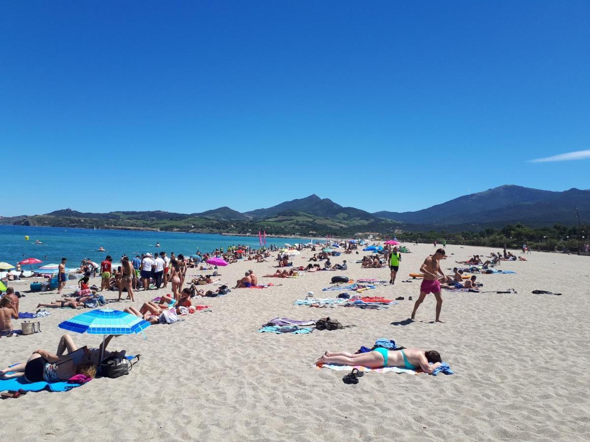 Plein Sud 142, Climatise Daire Argelès-sur-Mer Dış mekan fotoğraf
